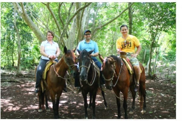 ATV´s Single - Horseback Riding & Cenote Adult Tour - Imagen 3
