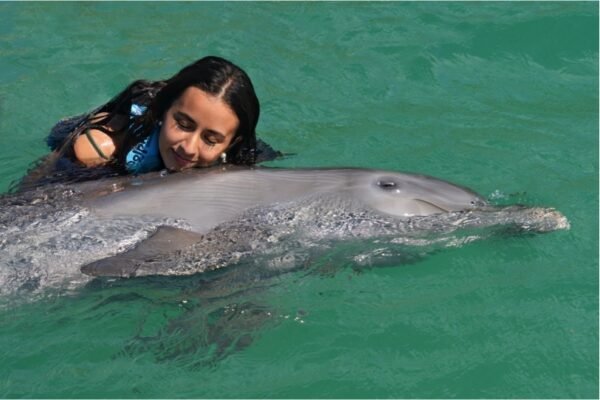 Dolphin Swim Adventure Tour - Imagen 5