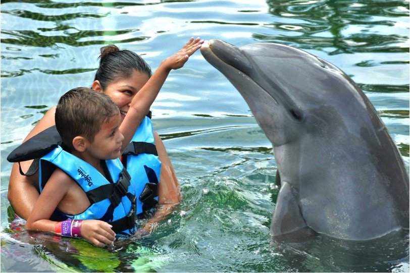 Dolphin Royal Swim Kids - Imagen 3