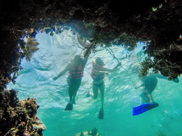 Isla Mujeres Catamaran Pleasure Tour - Imagen 3