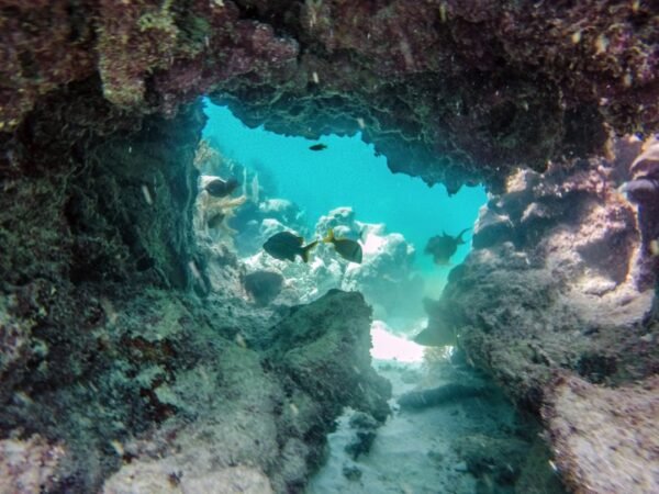 Isla Mujeres Catamaran Pleasure Tour - Imagen 8
