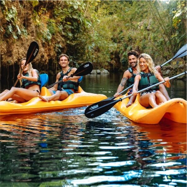 Xenotes Tour - Imagen 4