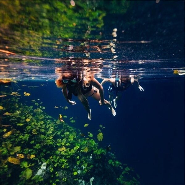 Xenotes Tour