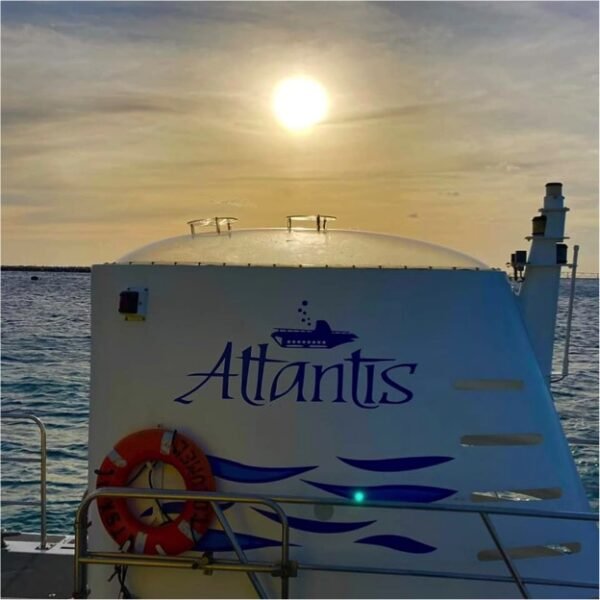 Cozumel Submarine Tour - Imagen 2