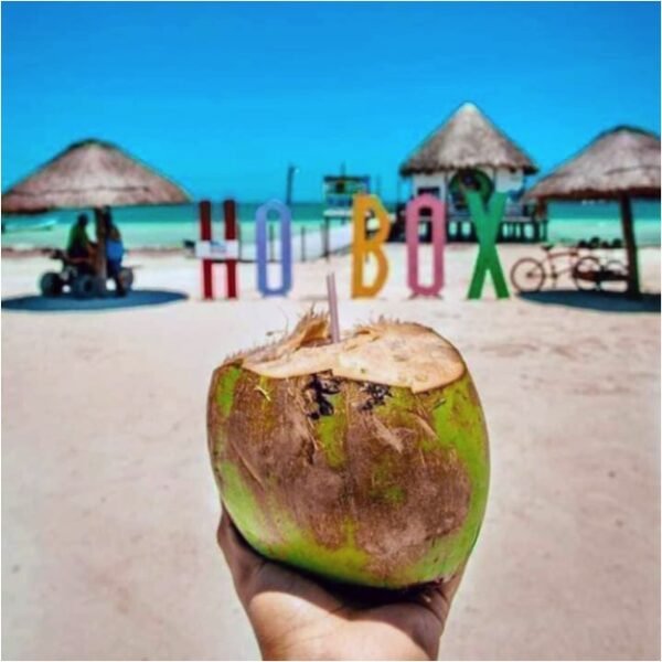 HOLBOX Ferry Punta Mosquito Tour - Imagen 4